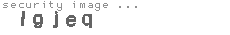 security image