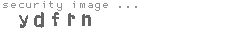 security image