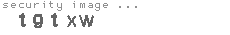 security image
