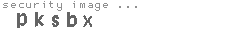 security image