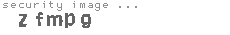 security image