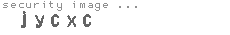 security image