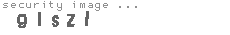 security image