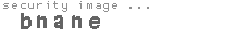 security image
