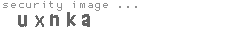 security image