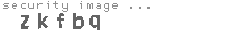 security image