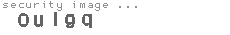 security image