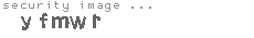 security image