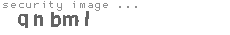 security image