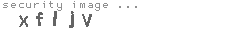 security image