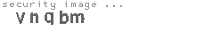 security image