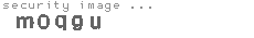 security image