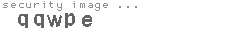 security image