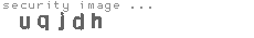 security image