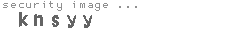 security image