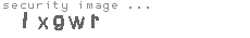 security image