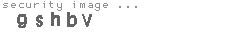 security image