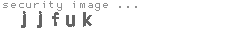 security image
