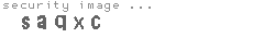security image