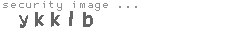 security image
