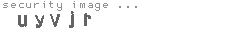 security image