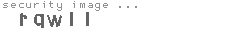 security image