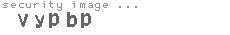 security image