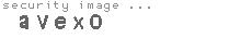 security image