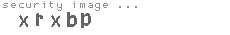 security image