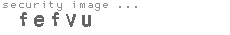 security image