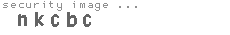 security image