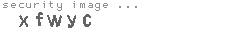 security image