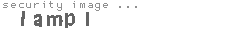 security image