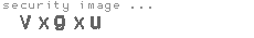 security image