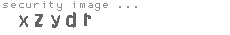 security image