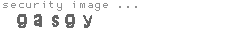 security image