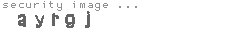 security image