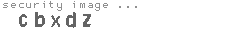 security image