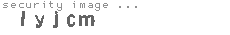security image