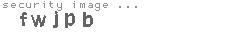 security image