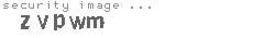security image