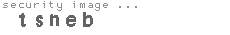 security image