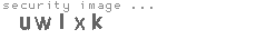 security image