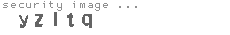 security image