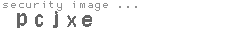 security image