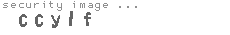 security image