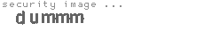 security image
