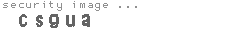 security image