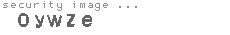 security image